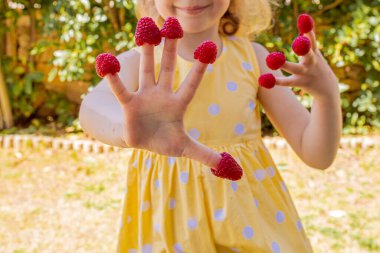 Ahududu. Çocuk ahududuyla beşlik çakıyor. Yaz eğlencesi. Mutlu çocukluk kavramı. Küçük kız gülümsüyor ve ahududu yiyor. Tatil zamanı..