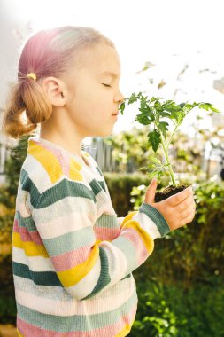 Domates filizi. Küçük kız elinde toprakla domates tohumu tohumu tutuyor. Kendi kendine yetebilirlik kavramı. Küçük yardımcı. Bahçıvanlık konsepti. Geçmiş araştırması. Mutlu çocukluk. Anlamlı bir hayat. Dijital detoksik. Düşük ve dengeli yaşam. Aygıtsız bölge