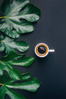 Kahve saati bitti. Siyah arka planda kahve ve koyu yeşil yapraklar ve fotokopi alanı. Yapraklar. Düz yatıyordu. Genel bakış. Üst Manzara. Yaz zamanı.