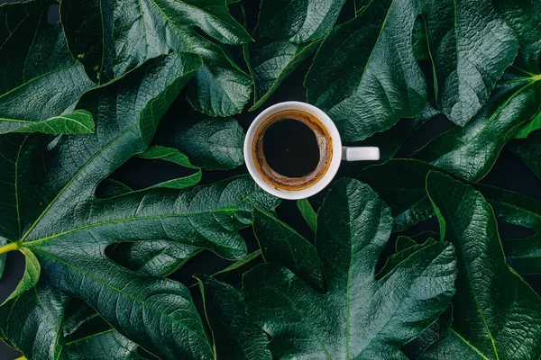 Close up of coffee time. Coffee and dark green leaves on black background with empty space for text.  Foliage. Flat lay. Overhead view. Spring time. Top view