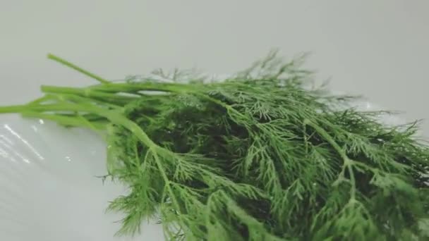 Ein Bündel frischer grüner Dill rotiert auf einem weißen Teller — Stockvideo