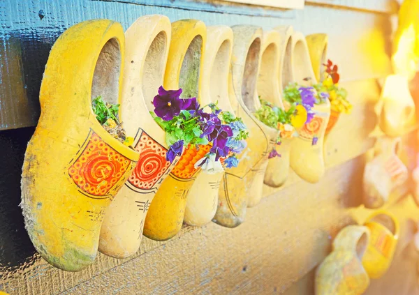 Os tradicionais sapatos de madeira nacionais Klomp como vasos de flores sagacidade — Fotografia de Stock