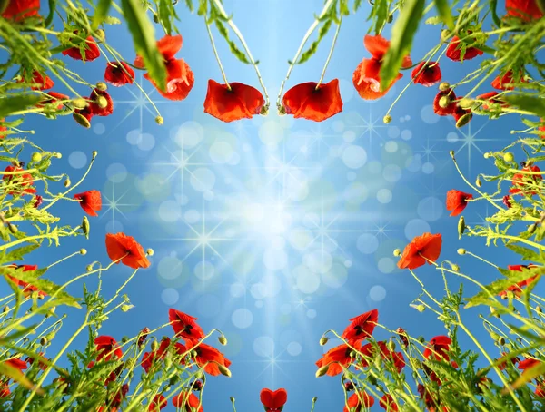 Kartu Valentine sebagai jantung dengan bunga poppy di bawah sinar matahari dengan efek b — Stok Foto