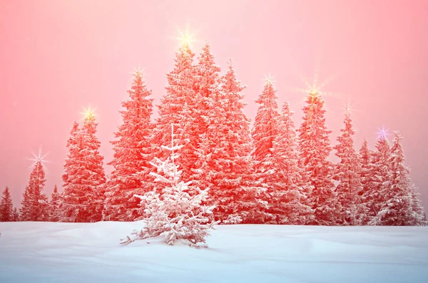 Paisagem mística de inverno com árvores em luzes de Natal brilhar  ( — Fotografia de Stock