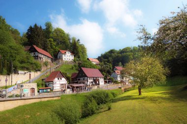 Güneş ışığında Rathen, Almanya, Eur ağacında ile inanılmaz sahne