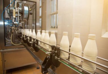 Beyaz plastik süt şişe konveyör üzerine modern süt pla