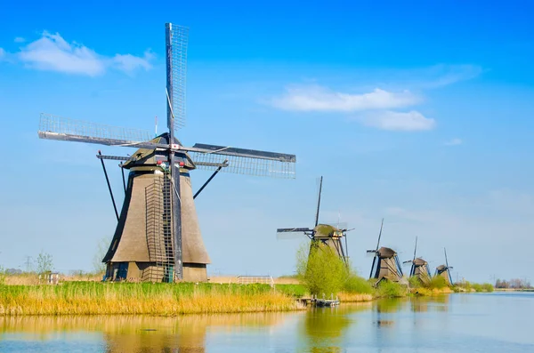 Uroczy krajobraz z wiatraki w Kinderdijk, Holandia — Zdjęcie stockowe