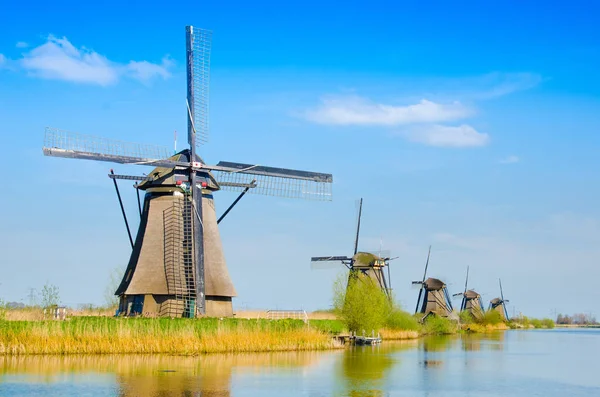 Doğal, Hollanda yel değirmenleri ile büyüleyici manzara