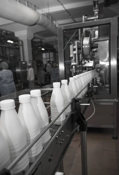 对现代乳品解放军传送带上的白色塑料牛奶瓶 — 图库照片