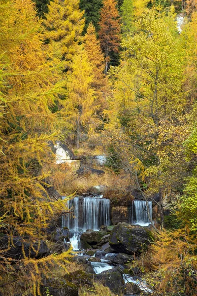 Paisagem incrível outono com cachoeiras na floresta em Dol — Fotografia de Stock