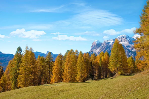 ドロミテで黄色のカラマツと信じられないほどの秋の風景. — ストック写真