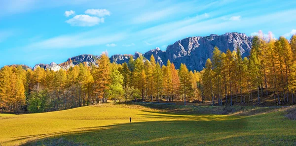 背景に黄色のカラマツと幻想的な秋の風景 — ストック写真