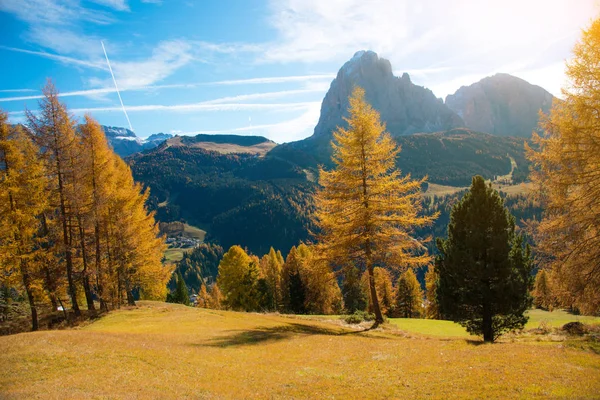 Fantastic autumn landscape with yellow larch in a sunny day. Dol — Stock Photo, Image