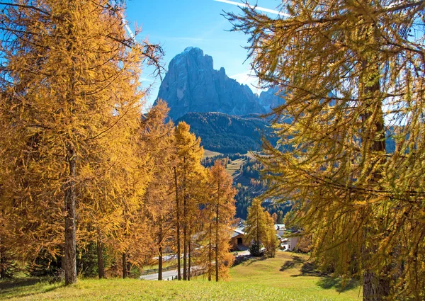 Magico paesaggio autunnale con larice giallo in una giornata di sole. Dolom — Foto Stock