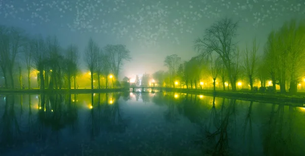 Paisagem mística com árvores perto da lagoa no outono nebuloso mesmo — Fotografia de Stock