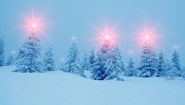 Paisagem mística de inverno com árvores em luzes de Natal brilhar  ( — Fotografia de Stock