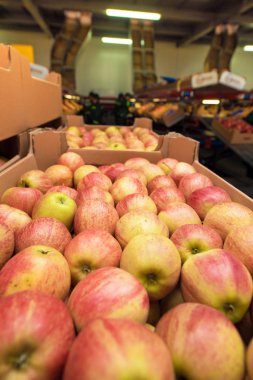 Meyve üretim karmaşık bir kutuda lezzetli kırmızı elmalar