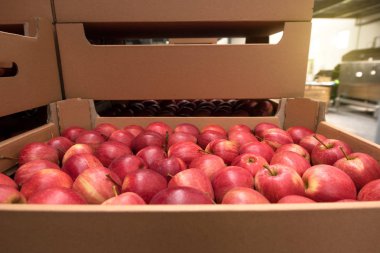 Meyve üretim karmaşık bir kutuda lezzetli kırmızı elmalar