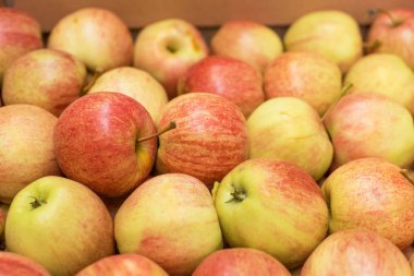 Güzel iştah açıcı meyve arka plan ile bir karton elma