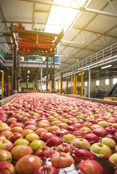 The process of washing apples in a fruit production plant