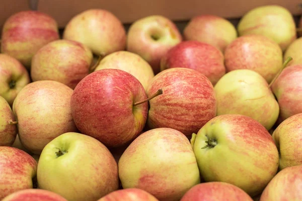 Красивый аппетитный фруктовый фон с яблоками в картонке — стоковое фото