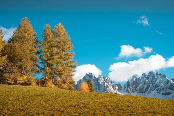 Beau paysage d'automne méditatif relaxant dans les Dolomites, Ita — Photo