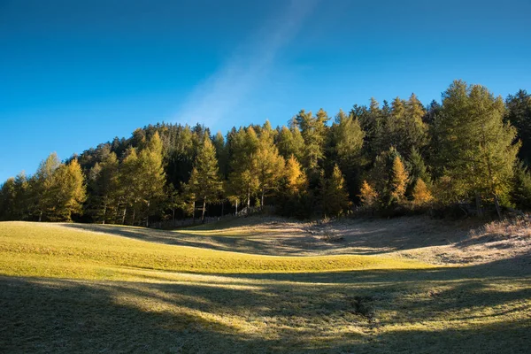 Krásné relaxační meditativní podzimní krajina v regionu Dolomity, Ita — Stock fotografie