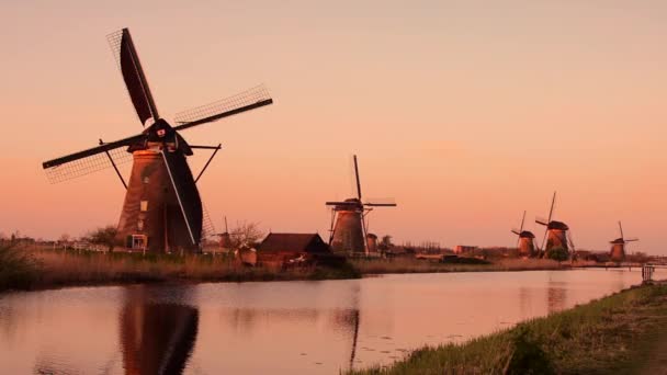 Magische fee fascinerend landschap met windmolens midden tulp veld in Kinderdijk, Nederland, Europa bij dageraad — Stockvideo