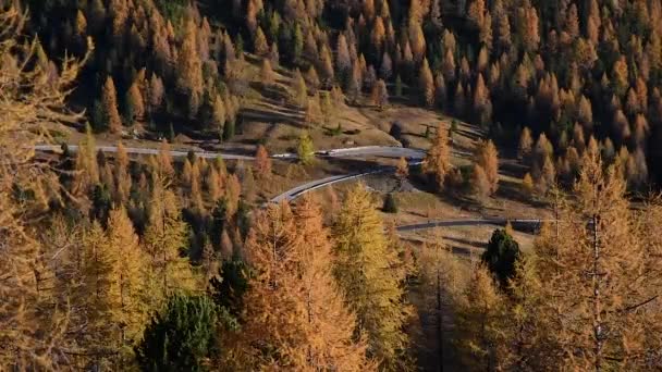 Sonbahar dağlarda bir geri döngü yolda bir araba — Stok video