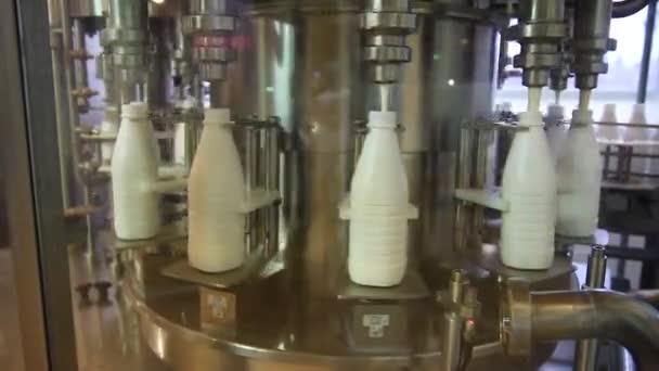 Der Prozess der Milchabfüllung in einer Milchfabrik — Stockvideo