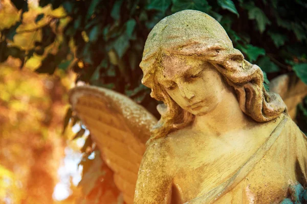 The figure of an angel in a golden glow. Symbol of love, invisib — Stock Photo, Image