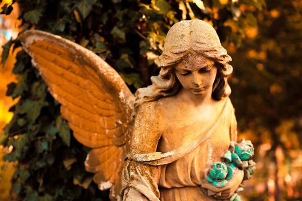 Фігура Ангела Символі Любові Невидимих Сил Чистоти Просвітлення Служіння Колісниця — стокове фото