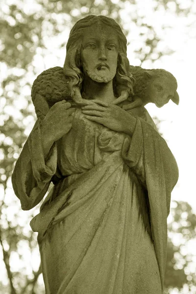 La figura de Jesús con las ovejas en el cuello como símbolo de un — Foto de Stock