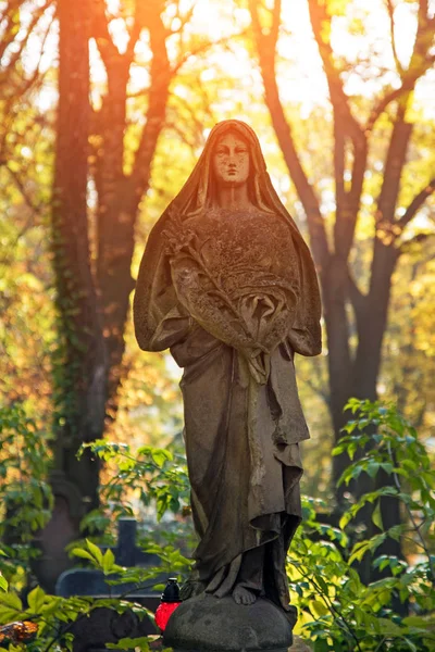 La figura della Vergine, simbolo di amore e di intercessione — Foto Stock