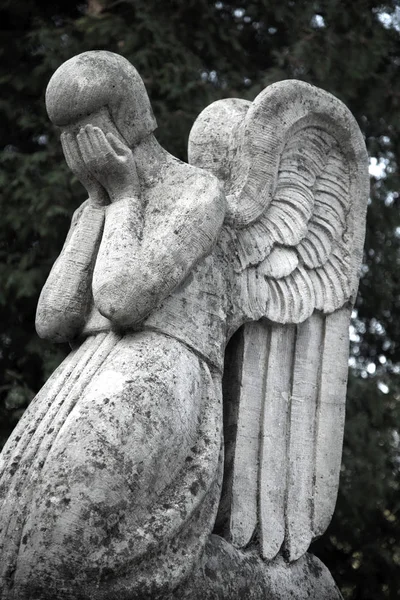 The figure of an angel who cries. Symbol of sorrow, love, invisi — Stock Photo, Image