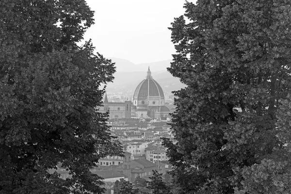 Michelan からフィレンツェのドゥオーモの素晴らしい景色 — ストック写真