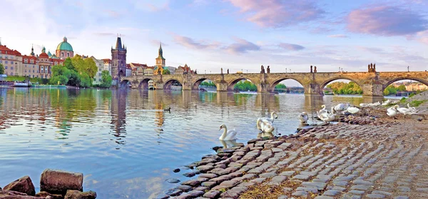 Eine magische Landschaft mit Schwänen und Karlsbrücke in Prag, cze — Stockfoto