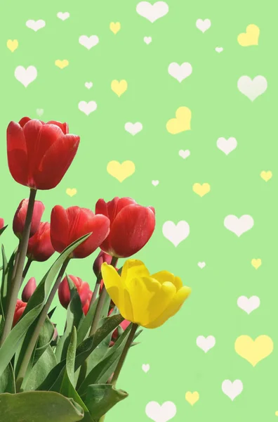 Abstrakt background with tulips for greeting with a Happy Valent — Stock Photo, Image