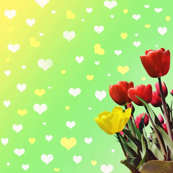 Abstrakt fundo com tulipas para cumprimentar com um Valente Feliz — Fotografia de Stock