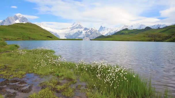 Utmärkt Vackert Landskap Med Vågor Sjön Schweiziska Alperna Europa Wetterhorn — Stockvideo