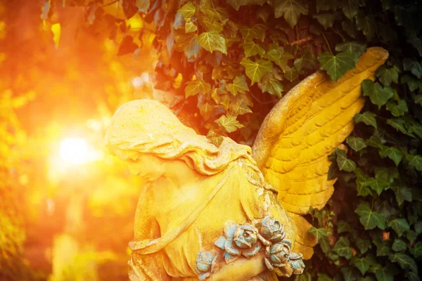 The figure of an angel in a golden glow. Symbol of love, invisib — Stock Photo, Image