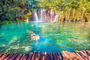Hırvatistan 'ın Plitvice kentinde şelalesi olan inanılmaz güzellikte büyüleyici bir manzara (uyum meditasyonu, anti-stres - konsept)