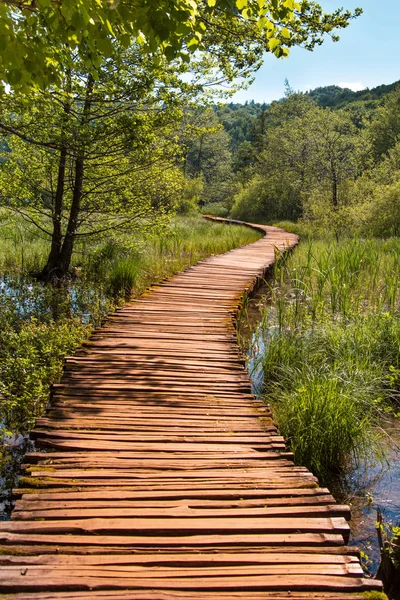 Incredibly beautiful fabulous magical landscape with a bridgeon — Stock Photo, Image