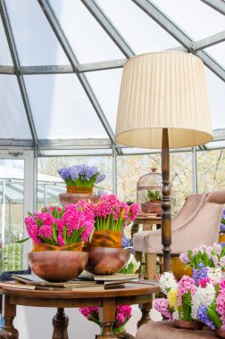 büyüleyici iç saksı ile Oda