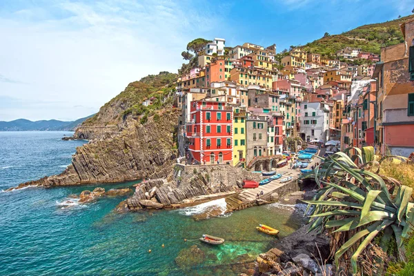 Increíble paisaje en Riomaggiore con hojas de agave en Cinq — Foto de Stock