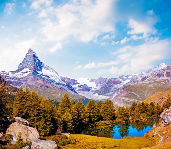 Hermoso Paisaje Mágico Otoño Con Abetos Cerca Del Lago Fondo —  Fotos de Stock