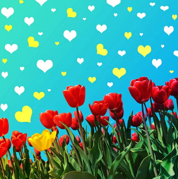 Sfondo astratto con tulipani per salutare con un Happy Valent — Foto Stock