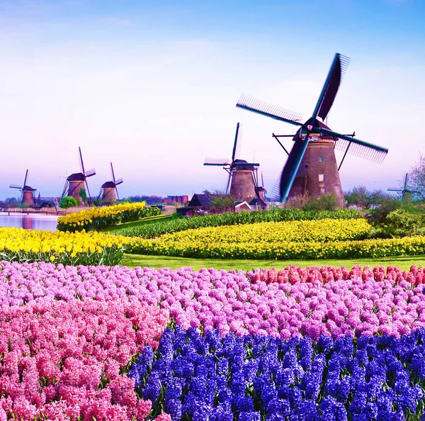 Magisch voorjaarslandschap met bloemen en patronen in luchtmolen — Stockfoto