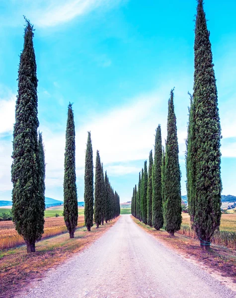 Tuscany, Ital 'da yol ve selvi ile sihirli güzel manzara — Stok fotoğraf