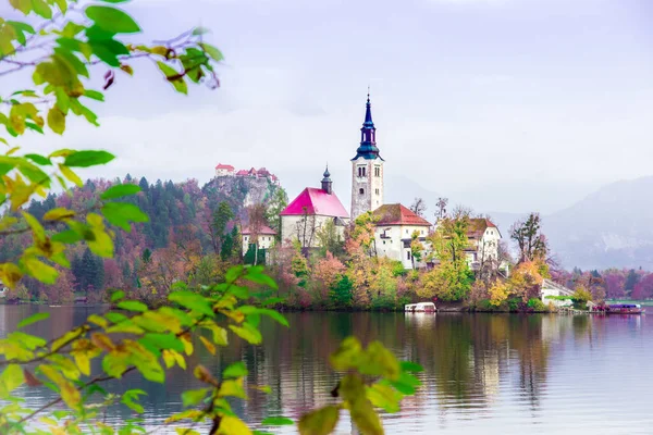 Paisagem Mágica Outono Com Igreja Ilha Lago Bled Blejsko Jezero — Fotografia de Stock